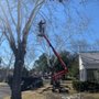 Photo of Hegers Tree Service