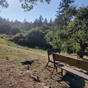 Occidental Arts & Ecology Center - A view from outside of the kitchen - Community Service/Non-Profit Near Me - Occidental, California