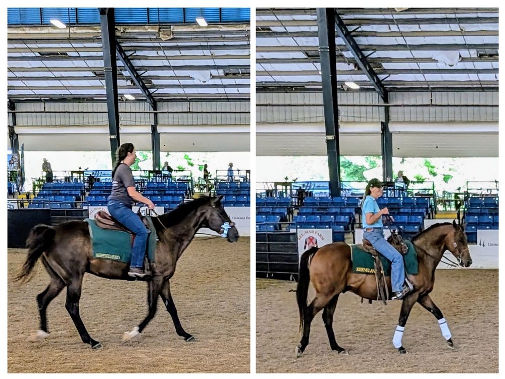 Social spots from Kentucky Horse Park