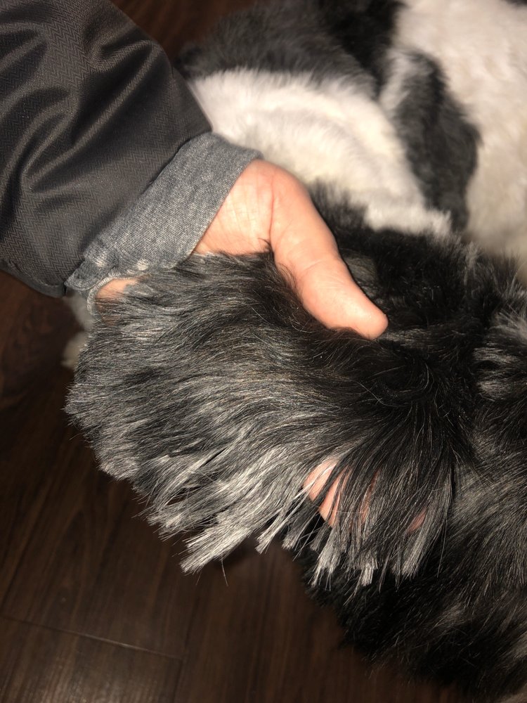 bow bow dog grooming