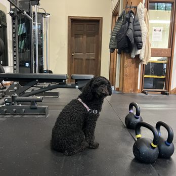 Vigorous Personal Training - Trainers Near Me - Seattle, Washington Vigorous Personal Training - Trainers Near Me - Seattle, Washington