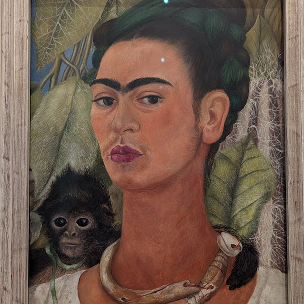 Buffalo AKG Art Museum - Art Galleries Near Me - Buffalo, New York