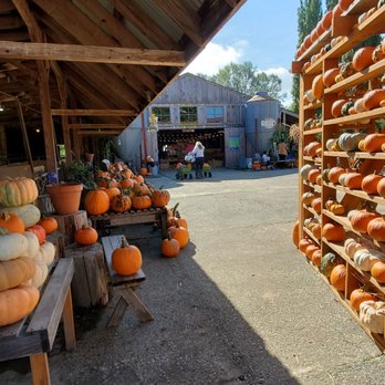 Fall City Farms - Lovely - Venues & Event Spaces Near Me - Fall City, Washington Fall City Farms - Lovely - Venues & Event Spaces Near Me - Fall City, Washington