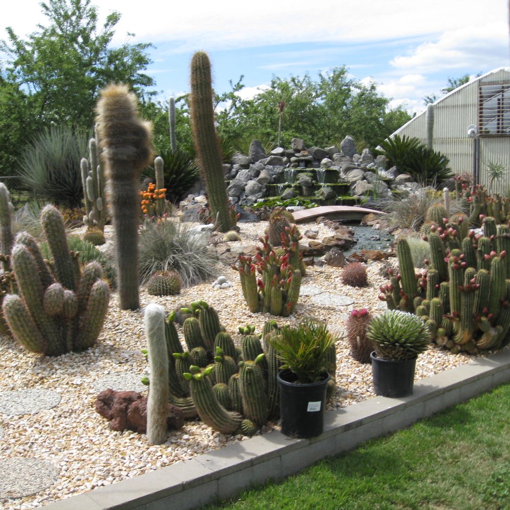 Poot's Cactus Nursery - Nurseries & Gardening Near Me - Ripon, California Poot's Cactus Nursery - Nurseries & Gardening Near Me - Ripon, California