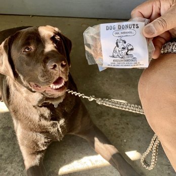 Dank Donuts - Brutus loves Dank Doughnuts!! - Coffee & Tea Near Me - Big Bear Lake, California