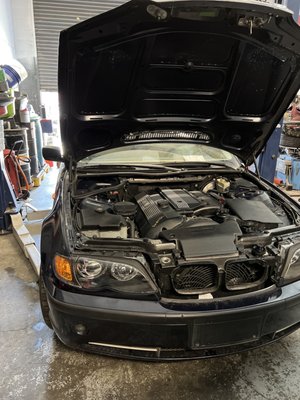 Sedano's Auto Sports by null