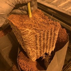 The Coco Depot - GroEzy 1.5 gallon pot