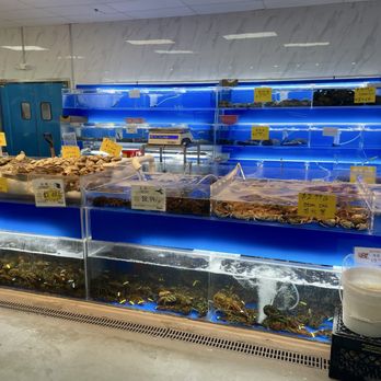 G Mart - Live fish, shellfish, crab, lobster, etc. - Grocery Near Me - Hackensack, New Jersey