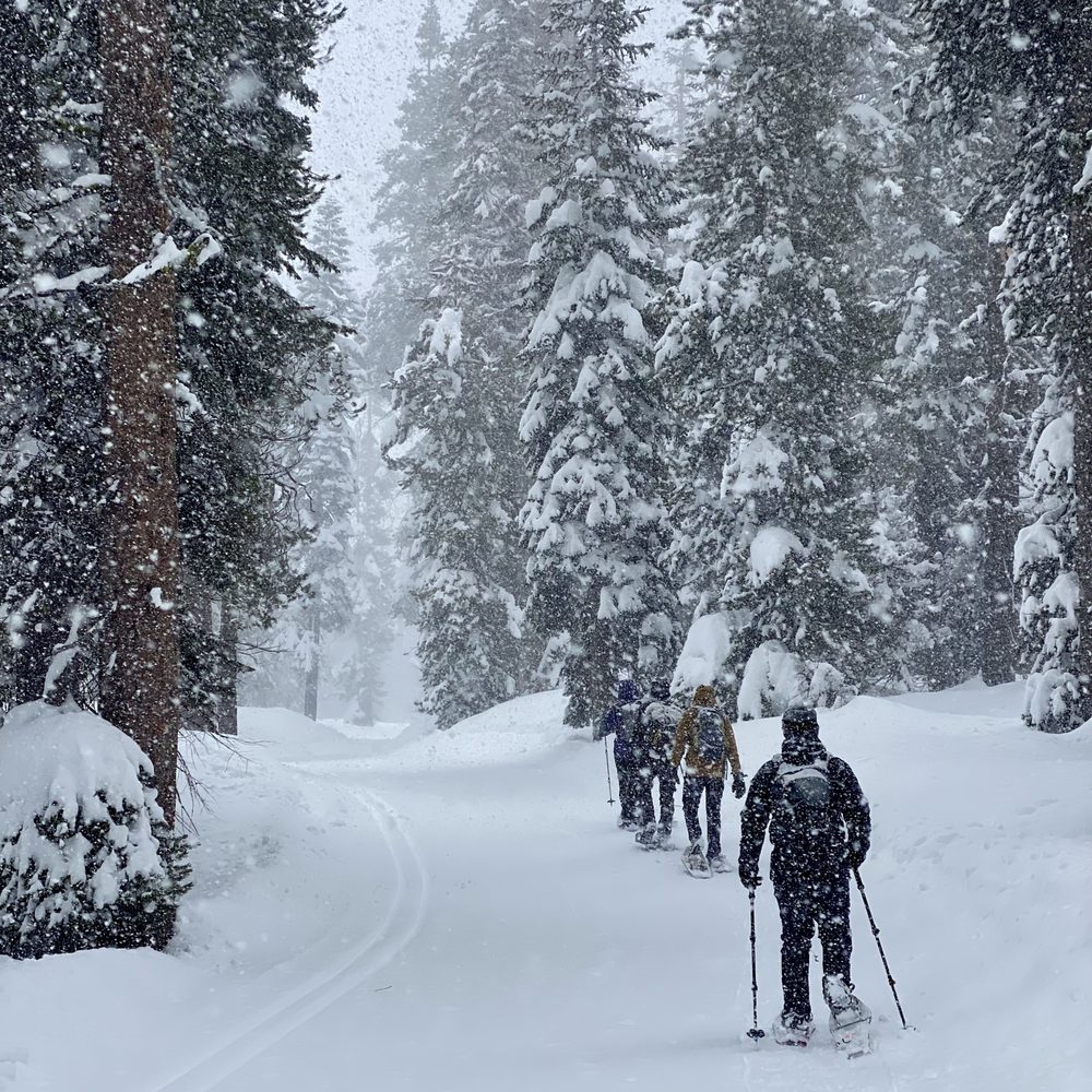 Bear Valley Adventure Company - snow is falling! - Ski Resorts Near Me - Bear Valley, California Bear Valley Adventure Company - snow is falling! - Ski Resorts Near Me - Bear Valley, California