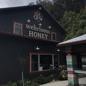 Wehrloom Honey - From the front - Honey Near Me - Robbinsville, North Carolina Wehrloom Honey - From the front - Honey Near Me - Robbinsville, North Carolina