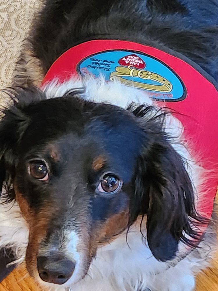 NOTARY BY MARY ANN Request a Quote Topeka, Kansas Notaries