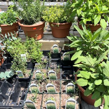 Coleman's Farm Market - Farmers Market Near Me - Ypsilanti, Michigan