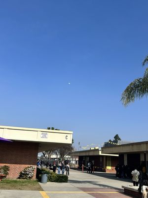 Mountain View High School by null