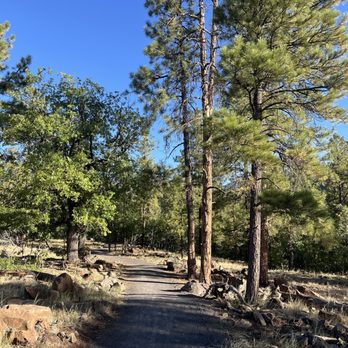 Buffalo Park - Part of the Arizona trail offshoot - Parks Near Me - Flagstaff, Arizona Buffalo Park - Part of the Arizona trail offshoot - Parks Near Me - Flagstaff, Arizona