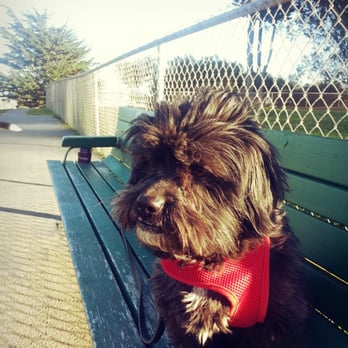 Holly Park - Nathan today "zenning" in his deep thougths! "fml" :p - Parks Near Me - San Francisco, California Holly Park - Nathan today "zenning" in his deep thougths! "fml" :p - Parks Near Me - San Francisco, California