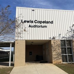 WP Davidson High School - Auditorium
