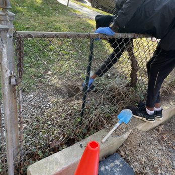 Elite Pest Control - Exterior Rat Service - Pest Control Near Me