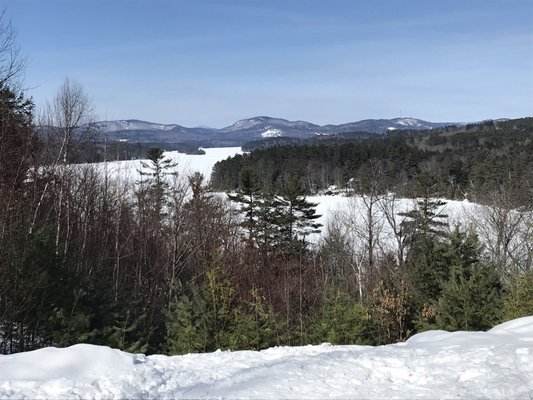 Roberts Farm Preserve Trails by null