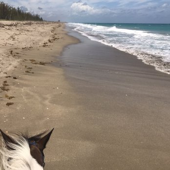 Tours on Horseback - Horseback Riding Near Me - Fort Pierce, Florida Tours on Horseback - Horseback Riding Near Me - Fort Pierce, Florida