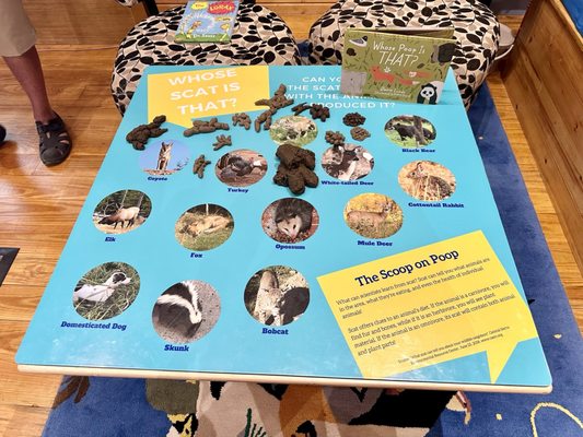 National Key Deer Refuge Nature Center by null