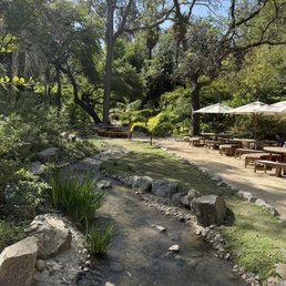Picnic area near the creek