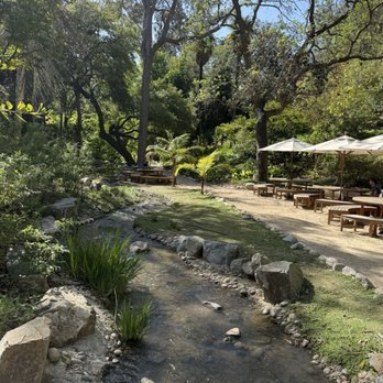 UCLA Mathias Botanical Garden - Picnic area near the creek - Botanical Gardens Near Me - Los Angeles, California