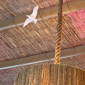 Strange Bird - "Put a bird on it" to complete the Portlandia-hip vibe - Tiki Bars Near Me - Indianapolis, Indiana Strange Bird - "Put a bird on it" to complete the Portlandia-hip vibe - Tiki Bars Near Me - Indianapolis, Indiana