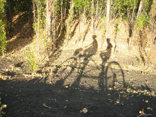 Calistoga Bikeshop by null