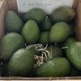 Photo of California Avocados Direct