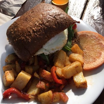 Morning Glory Cafe - Sandwhich special - Breakfast & Brunch Near Me - Phoenix, Arizona