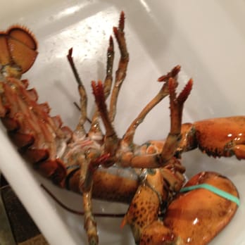 Ho Yuen Kee - Last day of lobster's life~ - Chinese Near Me - Vancouver, British Columbia