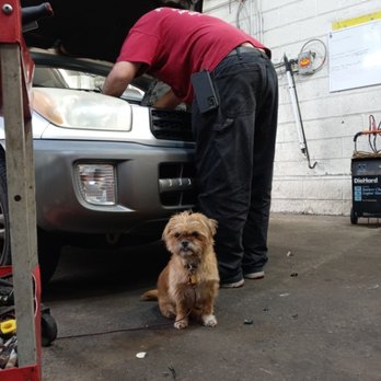JVR Auto Center - Meet our mechanics and the boss, Ophelia, the pup! - Auto Detailing Near Me - Hatboro, Pennsylvania JVR Auto Center - Meet our mechanics and the boss, Ophelia, the pup! - Auto Detailing Near Me - Hatboro, Pennsylvania