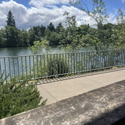 The river view from my table outside The river view from my table outside
