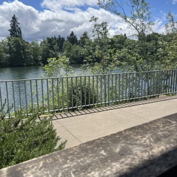 Sweet Waters on the River - The river view from my table outside - American Near Me - Eugene, Oregon Sweet Waters on the River - The river view from my table outside - American Near Me - Eugene, Oregon