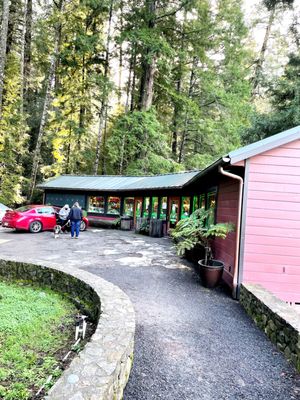 Drive-Thru Tree Park Leggett by null