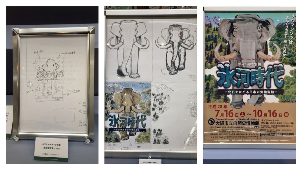 Osaka Museum of Natural History