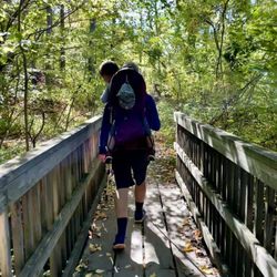 Arden Point and Glenclyffe Park - Bridge crossing