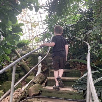 Ott's Exotic Plants - You can walk up and around the waterfall - Nurseries & Gardening Near Me - Schwenksville, Pennsylvania Ott's Exotic Plants - You can walk up and around the waterfall - Nurseries & Gardening Near Me - Schwenksville, Pennsylvania