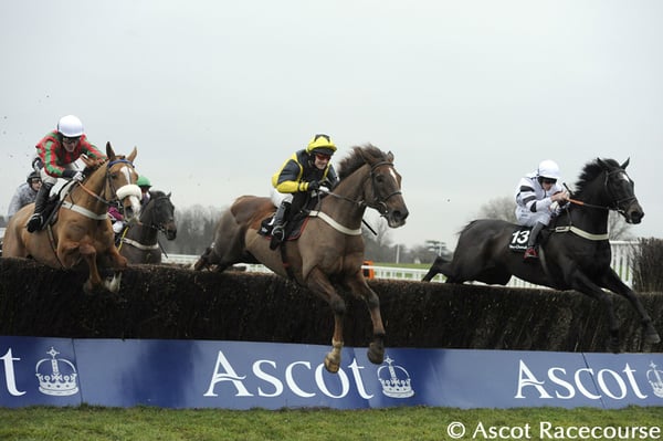 Ascot Racecourse by null