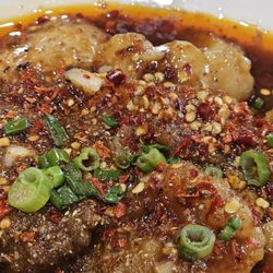 Chengdu 1 - Chili braised fish lunch special.