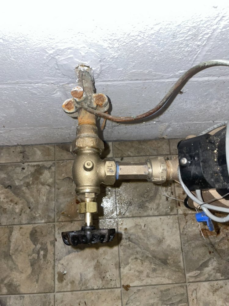 Slide of The Local Plumber