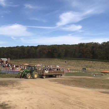 Gaver Farm - Tractor rides to field - Pick Your Own Farms Near Me - Mount Airy, Maryland Gaver Farm - Tractor rides to field - Pick Your Own Farms Near Me - Mount Airy, Maryland