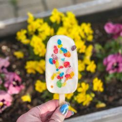 Ginger Bread Man Bakery - March 2026 - fruity pebbles cake pop