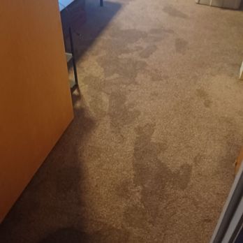 KCLoftCentral - Nice flooded carpet - Real Estate Agents Near Me - Kansas City, Missouri