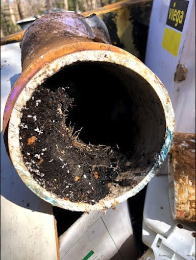 Slide of Jerry's Drain Cleaning