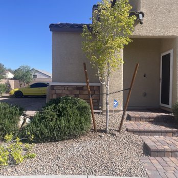 Abel’s Landscape Services - Yard Maintenance: Trimmed Bushes and Tree - Landscaping Near Me Abel’s Landscape Services - Yard Maintenance: Trimmed Bushes and Tree - Landscaping Near Me