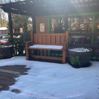 Mountain Paws - Pet Stores Near Me - Idyllwild, California
