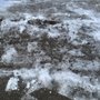 Photo of K.J Lawn Service