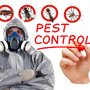 Photo of Westex Pest Management