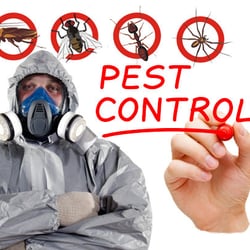 Westex Pest Management